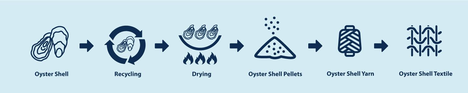Residuos de concha de ostra reciclada, que son recursos naturales en el futuro.